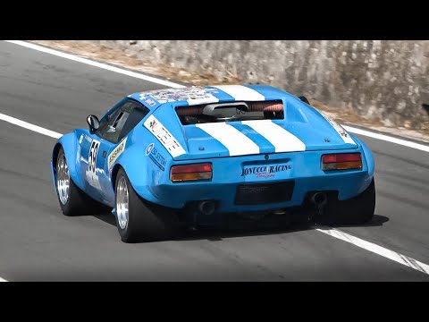 De Tomaso Pantera Gr. 4 Race Car: Cleveland V8 Sound on hillclimb!