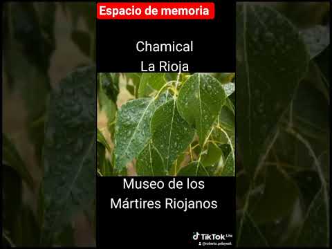 Museo de los Mártires Riojanos en Chamical