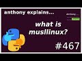 what is musllinux (PEP 656) (intermediate) anthony explains #467