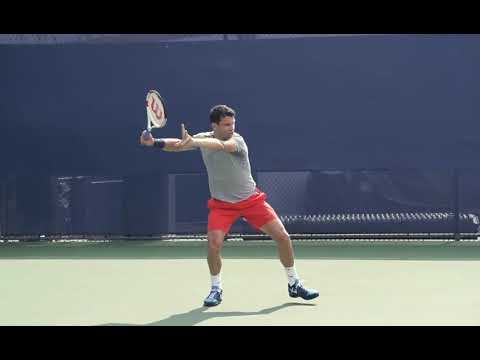 Dimitrov Slow Motion Forehand