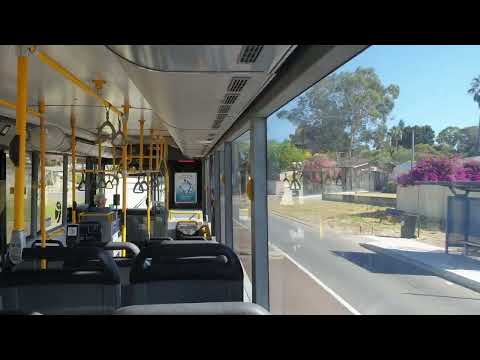 Transperth Mercedes-Benz O405NH/Volgren CR225L TP1568 | Service 377F