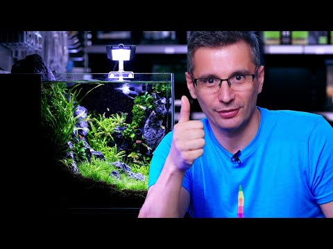 BUILD A BETTER NANO PLANTED TANK -  WITH A BUDGET CO2 SYSTEM