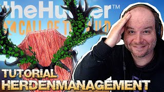 Herdenmanagement im Detail, Diamanten im Überfluss &amp; Great One spawnen! | theHunter Call of the Wild