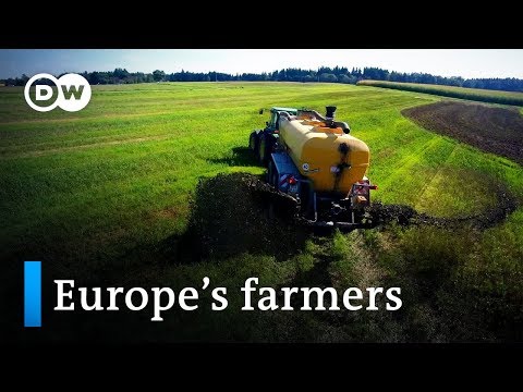, title : 'Can farmers grow money? | DW Documentary'