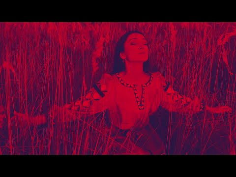 Іванка Червінська - Пташка