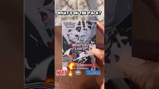 Heat or Fleeced Ep. 4 - Pokemon White Flare Booster Box #pokemon