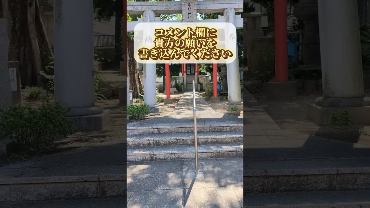 この動画に出会えたあなたは超幸運です🐍⛩️✨✨