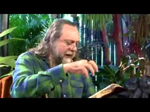 Sl 91 - A mente segura no Amor de Deus é uma espantadora de males!