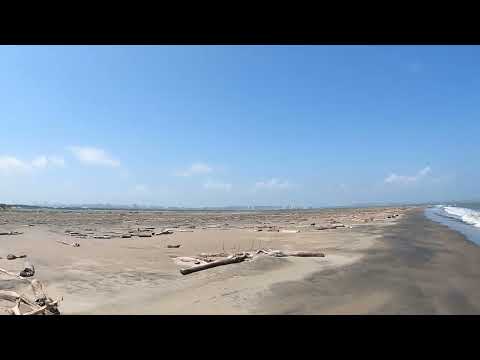 Bocas de ceniza, Puerto mocho, Ciénaga Mallorquín, Barranquilla, Atlántico