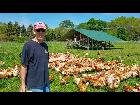 Joel Salatin Style Coops Updated with Best Nest Box