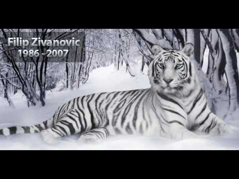 VuksA, BeLI-TIgaR & Zift - Drugovi moji (‎Septembar ‎05, ‎2007)