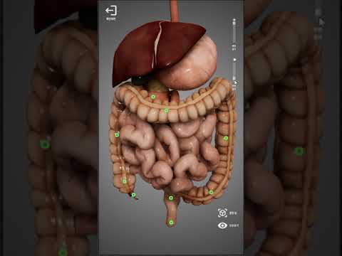 Anatomy for Everyone video thumbnail