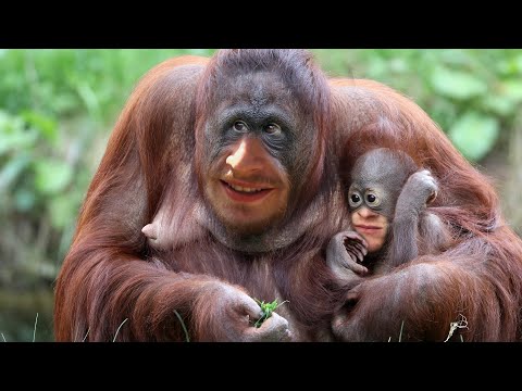 Die klügsten Köpfe Deutschlands - The Forest #6