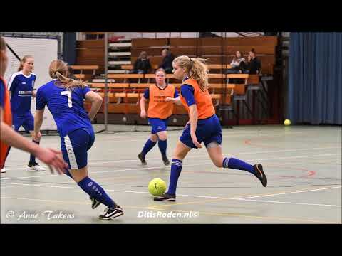 Nieuw Roden VR2 het spel, VIOD VR1 de punten