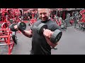 Dumbbell Biceps Curls