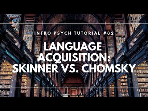 Language Acquisition Skinner vs Chomsky Intro Psych Tutorial 82