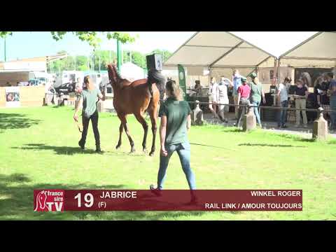 Sprinter Sacré Show 2021 : Lot 19 - Jabrice