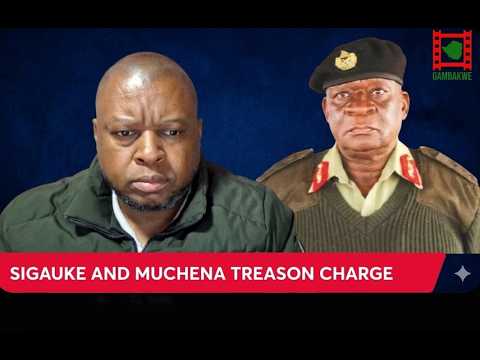 WATCH LIVE: Genera Sigauke And Muchena Must Be Charged With Treason - Mliswa