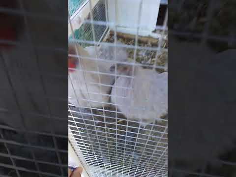 06.25.2019 Letting the girls run wild