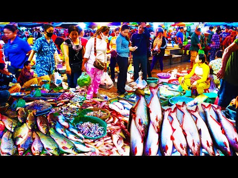 Early Morning Supply Fish Market. Fish, Shrimp, Squid, Lobster, Crab, Cambodian Street Food Market