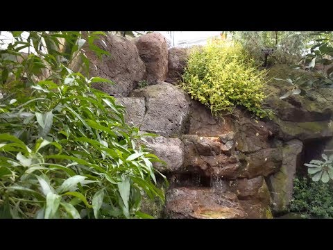 Hawaii exhibit at the United States Botanic Garden (Washington, DC)