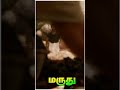 Maruthu Movie Mass Whatsapp Status