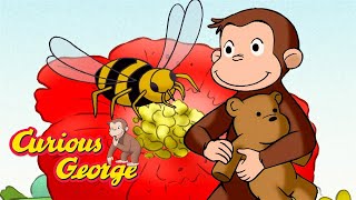 Bee's Aren't Scary! 🐵 Full Episodes | Curious George