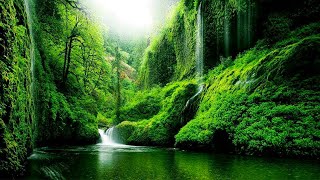 Soothing Relaxing Music Stop Anxiety, Calm The Nervous System🌿 Soothing Relaxation For Deep Sleep