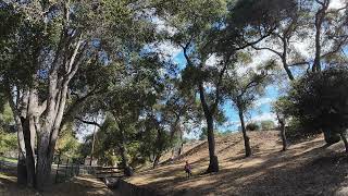 Episode 30: Chronic Illness