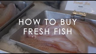 How to Buy Fresh Fish | a Fishmonger