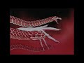 After Dark Tito Tarantula From Dusk Till Dawn SLOW REVERB