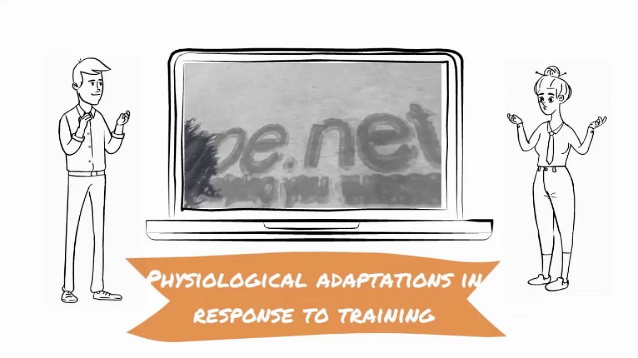 Physiological adaptations in response to training