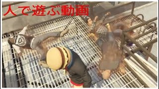 [グラセフ5人で遊ぶ動画］