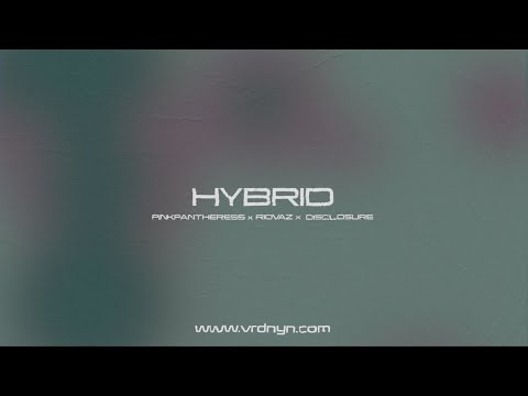 [FREE] PINKPANTHERESS x RIOVAZ x DISCLOSURE TYPE BEAT | GARAGE & HOUSE | "HYBRID"