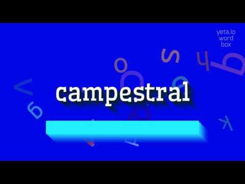 HOW TO SAY CAMPESTRAL? #campestral