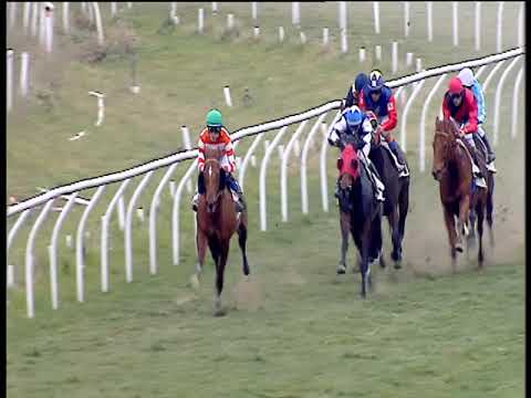 Galoppo 19/02/2019 - 2ª corsa