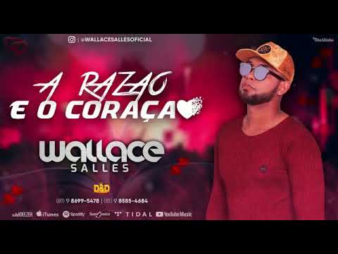 WALLACE SALLES - A RAZÃO E O CORAÇÃO