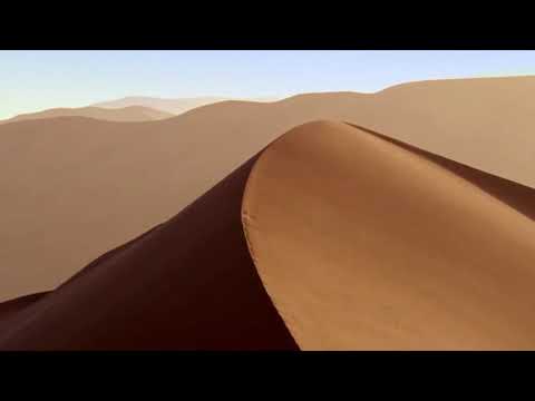 La vraie vie (2018) - Zao Van den Brempt