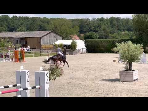 Feeling des Flagues - father of MAETICA DES FLAGUES