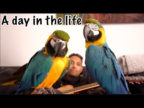 Mikey & Mia's Daily Routine 2022