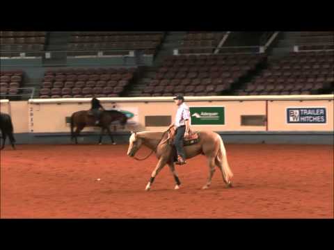 Volker Laves beim Abreiten in der Hauptarena (AQHA Worldshow 2013)