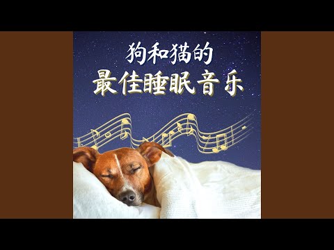 和主人一起睡