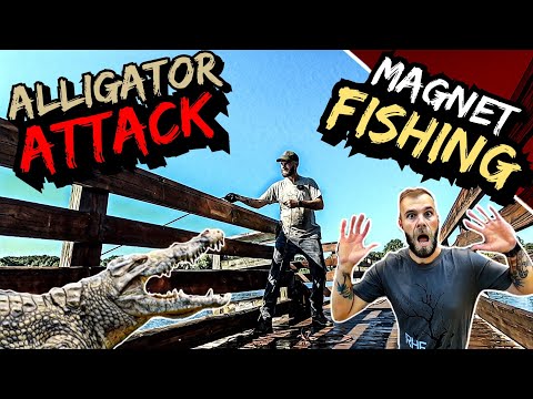 Alligator Attack! Magnet Fishing A Criminal Dumping Ground