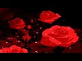 Summer Walker Drake Girls Need Love Slowed Reverb