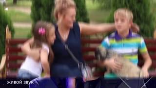 Наши люди с Павлом Потёминым (21.05.2019)