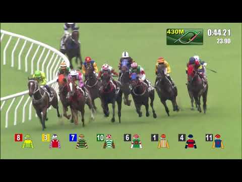 19/9/2021 (44) Namjong Sings - A Badel