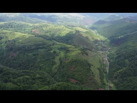 Tinutul Padurenilor - Valea Runcului (Runcul Mare si Poiana Rachitelii)