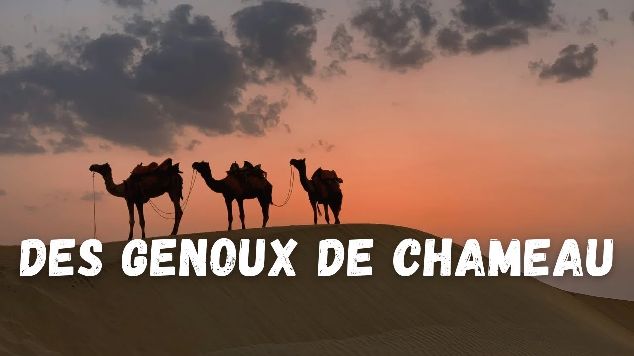 Culte du 28 septembre 2025