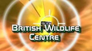 British Wildlife Centre