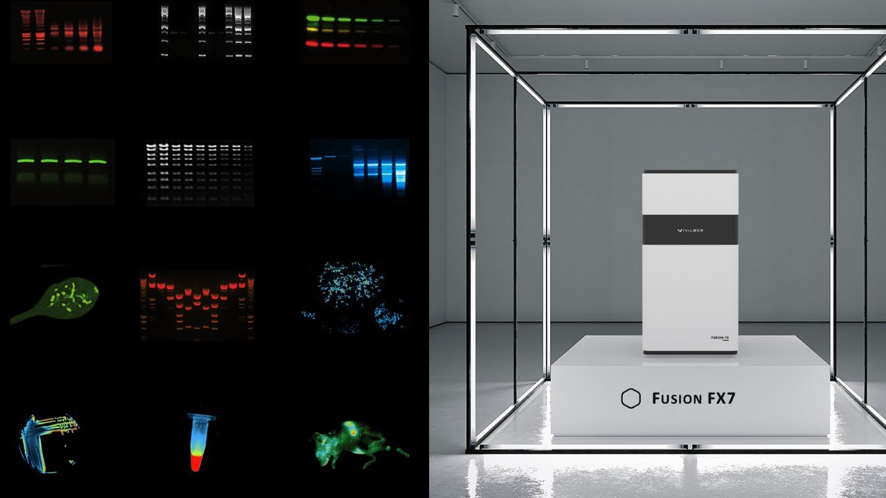 Fusion FX Western Blot Chemiluminescence & Fluorescence Imaging System